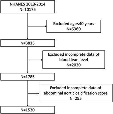 Higher Blood Lead Level Is Associated With Increased Likelihood of Abdominal Aortic Calcification